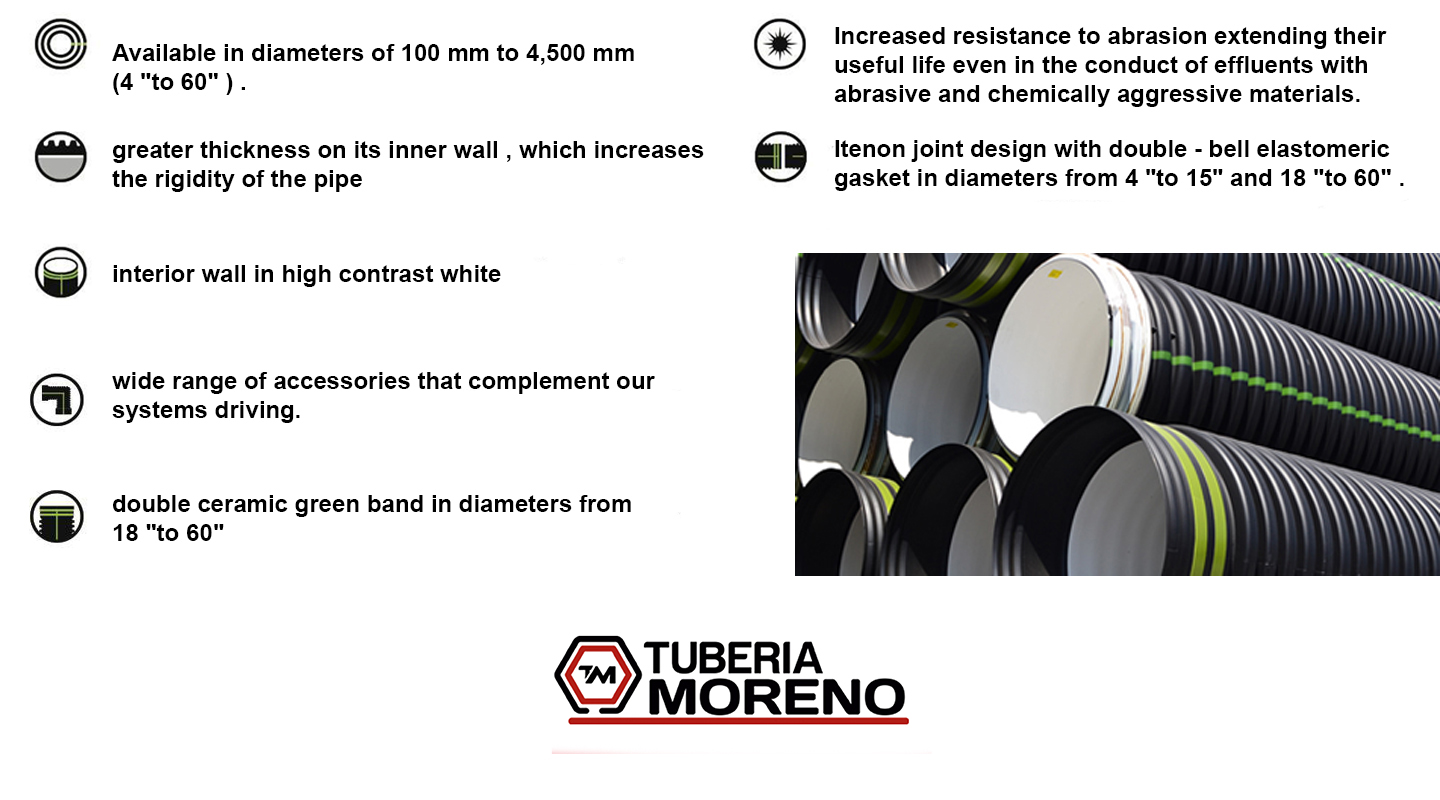 caracteristicas ingles